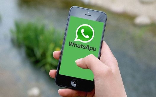 如何在WhatsApp中创建投票