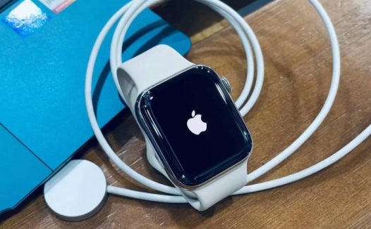 苹果手表Apple Watch显示实时活动影响表盘？如何关闭它